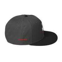 Brain Washed Snapback Hat