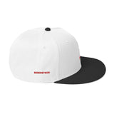 Brain Washed Snapback Hat