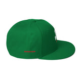 Brain Washed Snapback Hat