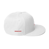 Brain Washed Snapback Hat